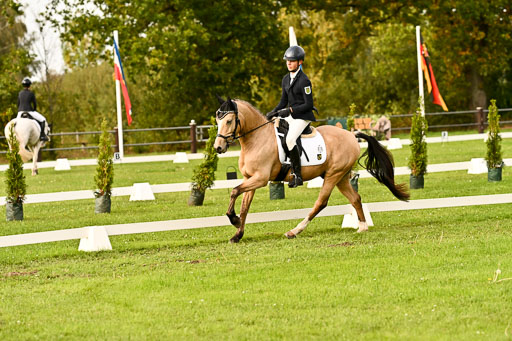 9-12.10.2025 Ströhen | Oscar Gündel - Gucci_15 