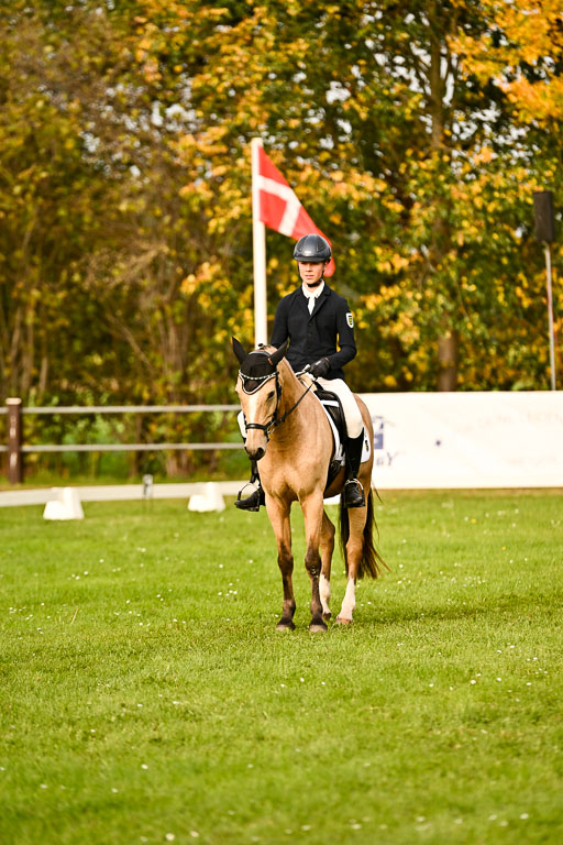 9-12.10.2025 Ströhen | Oscar Gündel - Gucci_17 