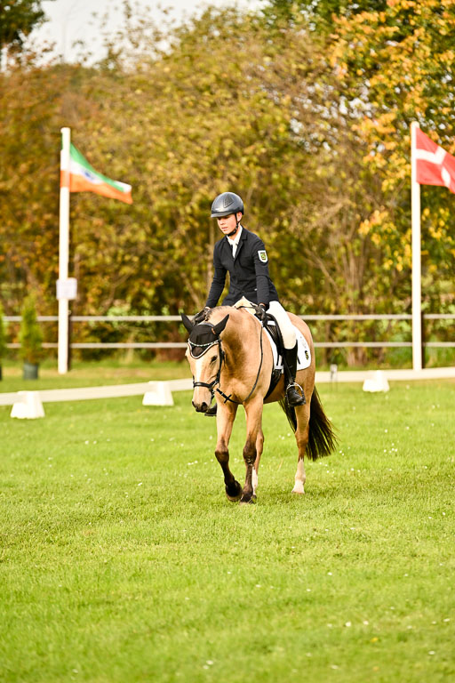 9-12.10.2025 Ströhen | Oscar Gündel - Gucci_18 