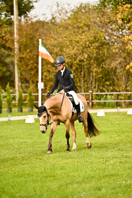 9-12.10.2025 Ströhen | Oscar Gündel - Gucci_19 