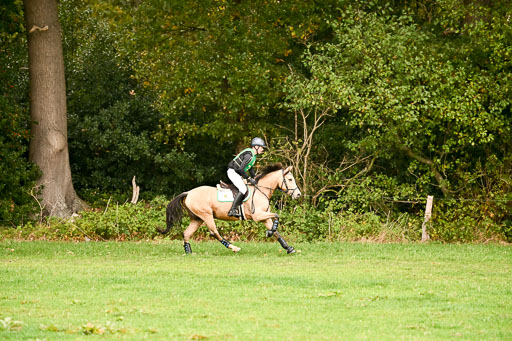 9-12.10.2025 Ströhen | Oscar Gündel - Gucci_20 