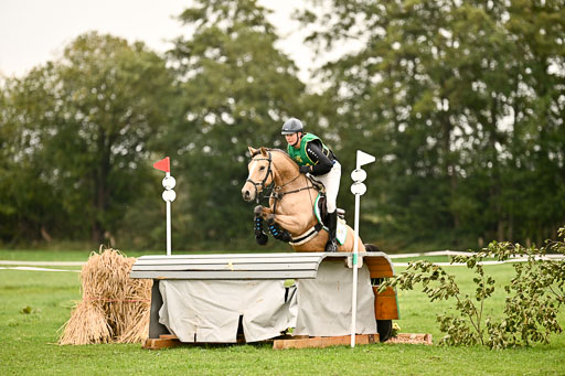 9-12.10.2025 Ströhen | Oscar Gündel - Gucci_21 