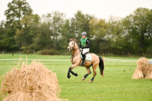 9-12.10.2025 Ströhen | Oscar Gündel - Gucci_25 