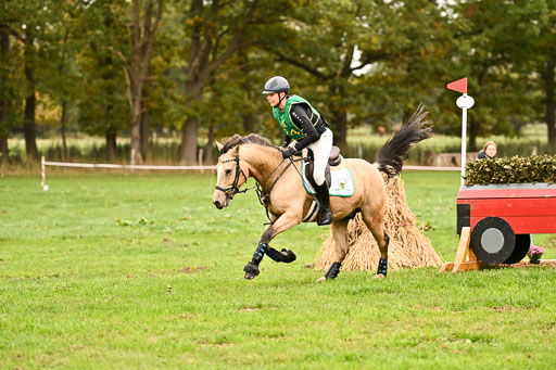 9-12.10.2025 Ströhen | Oscar Gündel - Gucci_29 