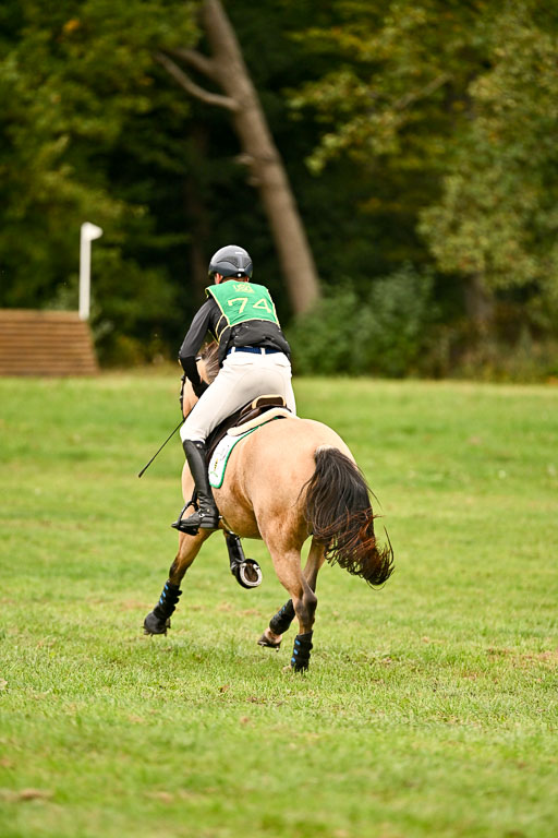 9-12.10.2025 Ströhen | Oscar Gündel - Gucci_33 