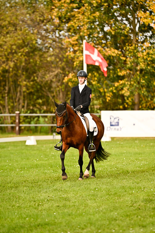 9-12.10.2025 Ströhen | Paul Suttorp - Cool Feuerstuhl_01 