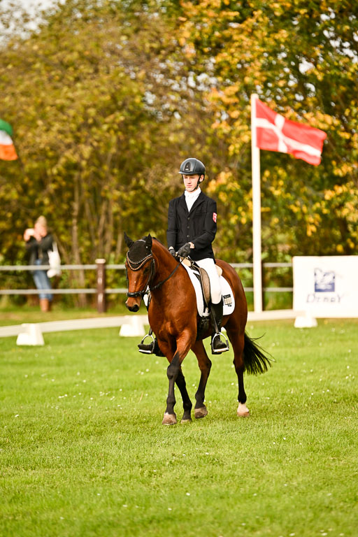 9-12.10.2025 Ströhen | Paul Suttorp - Cool Feuerstuhl_02 