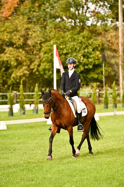 9-12.10.2025 Ströhen | Paul Suttorp - Cool Feuerstuhl_03 