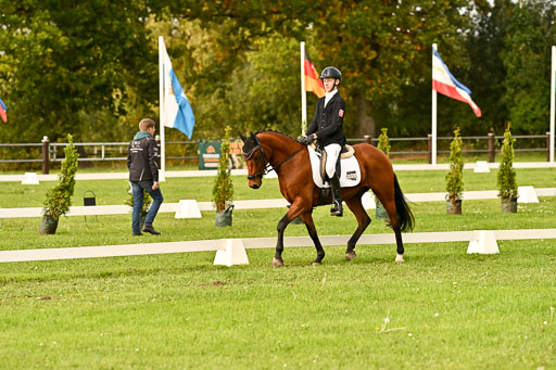 9-12.10.2025 Ströhen | Paul Suttorp - Cool Feuerstuhl_06 