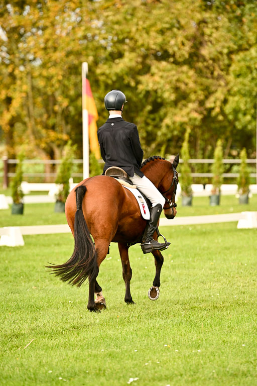 9-12.10.2025 Ströhen | Paul Suttorp - Cool Feuerstuhl_07 
