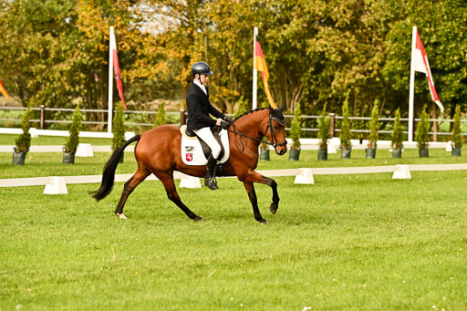 9-12.10.2025 Ströhen | Paul Suttorp - Cool Feuerstuhl_09 