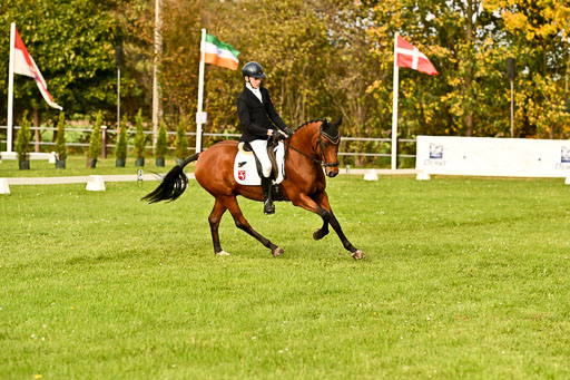 9-12.10.2025 Ströhen | Paul Suttorp - Cool Feuerstuhl_11 