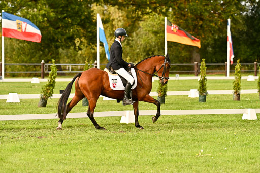 9-12.10.2025 Ströhen | Paul Suttorp - Cool Feuerstuhl_12 