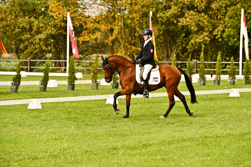 9-12.10.2025 Ströhen | Paul Suttorp - Cool Feuerstuhl_15 