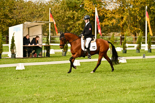9-12.10.2025 Ströhen | Paul Suttorp - Cool Feuerstuhl_16 