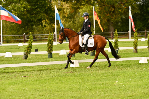 9-12.10.2025 Ströhen | Paul Suttorp - Cool Feuerstuhl_17 