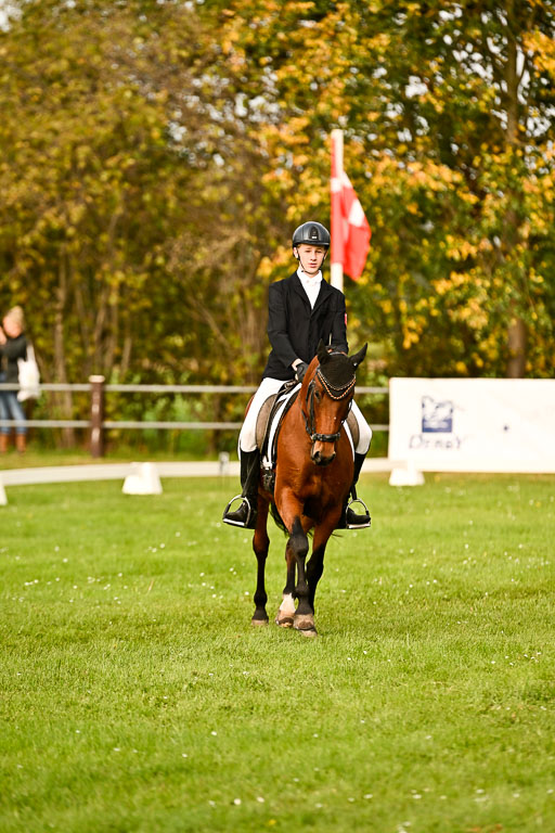 9-12.10.2025 Ströhen | Paul Suttorp - Cool Feuerstuhl_19 