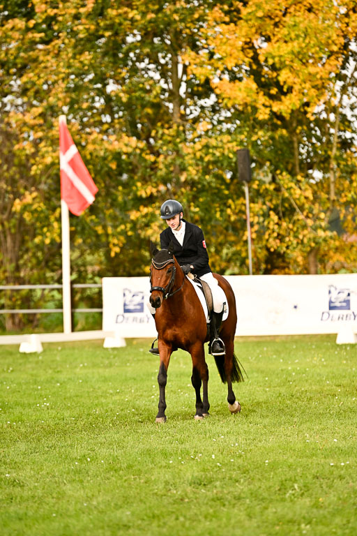 9-12.10.2025 Ströhen | Paul Suttorp - Cool Feuerstuhl_22 