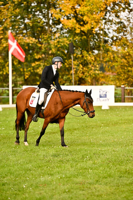 9-12.10.2025 Ströhen | Paul Suttorp - Cool Feuerstuhl_23 