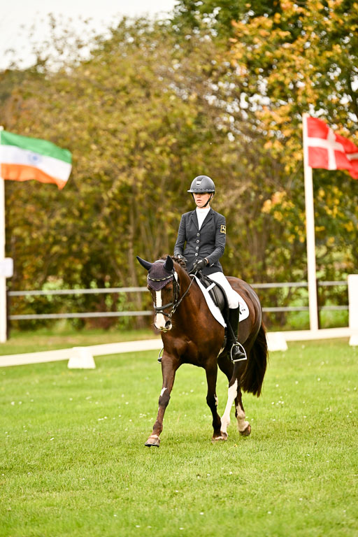 9-12.10.2025 Ströhen | Sofia Meier - SF Beverly005 