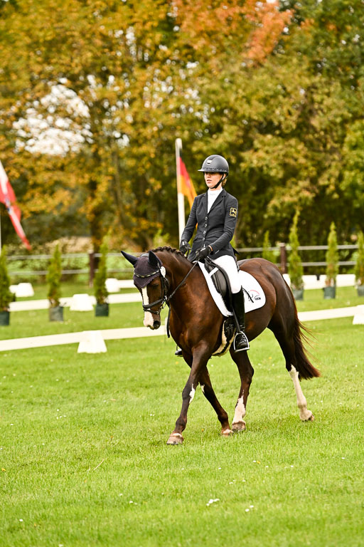 9-12.10.2025 Ströhen | Sofia Meier - SF Beverly006 