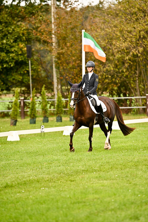 9-12.10.2025 Ströhen | Sofia Meier - SF Beverly007 