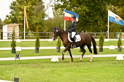 9-12.10.2025 Ströhen | Sofia Meier - SF Beverly010 