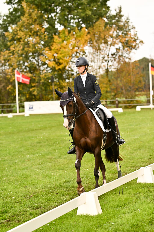 9-12.10.2025 Ströhen | Sofia Meier - SF Beverly011 