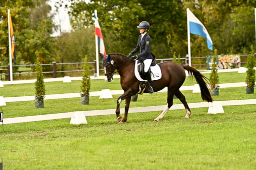 9-12.10.2025 Ströhen | Sofia Meier - SF Beverly015 