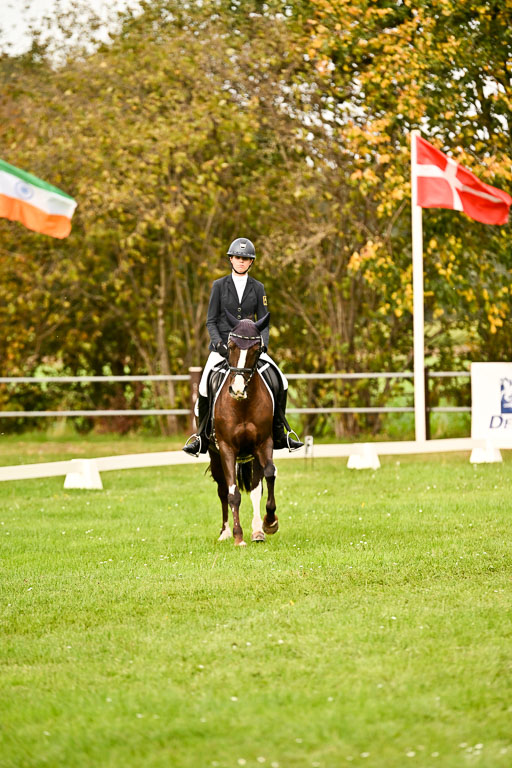 9-12.10.2025 Ströhen | Sofia Meier - SF Beverly016 