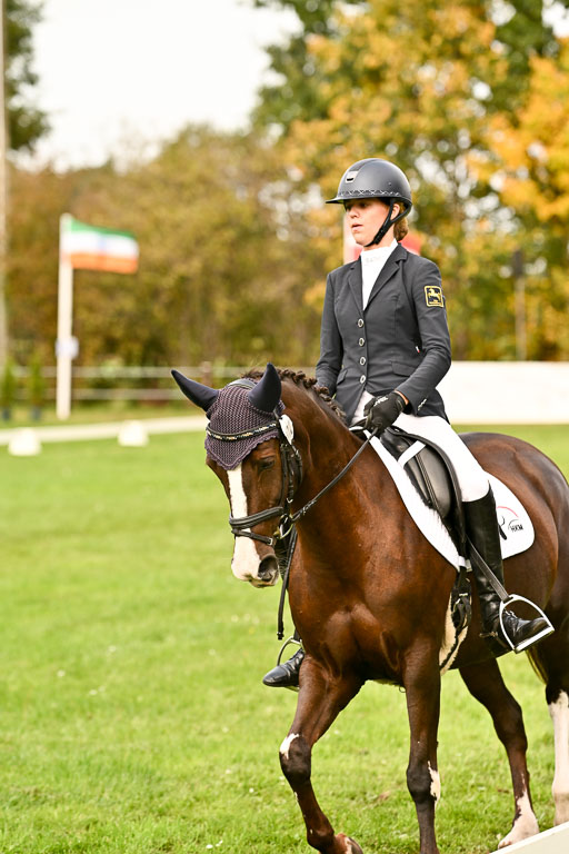 9-12.10.2025 Ströhen | Sofia Meier - SF Beverly017 