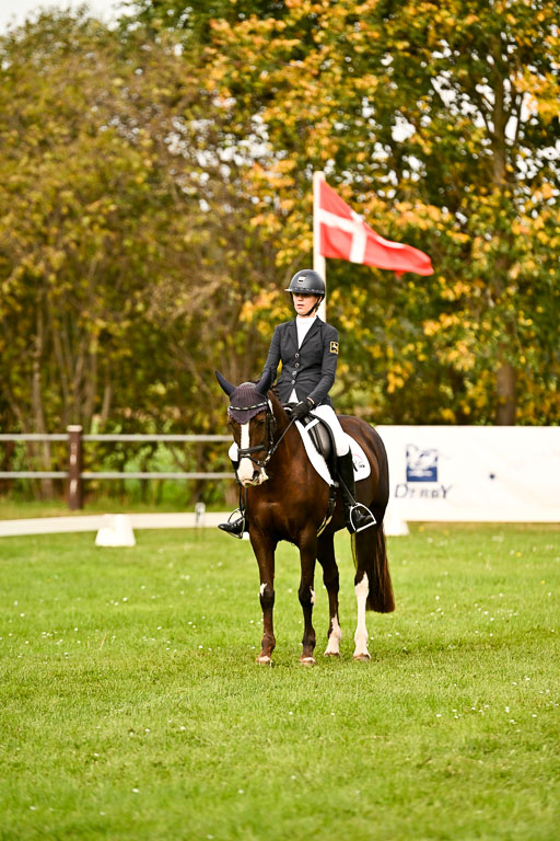 9-12.10.2025 Ströhen | Sofia Meier - SF Beverly018 