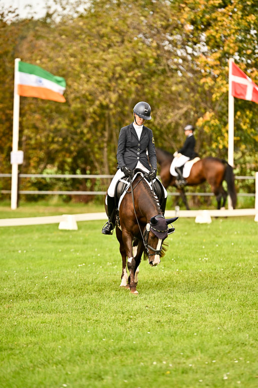 9-12.10.2025 Ströhen | Sofia Meier - SF Beverly019 