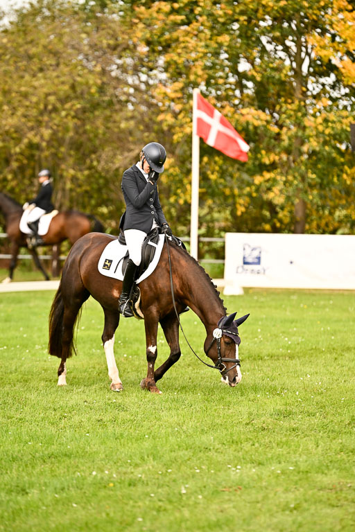 9-12.10.2025 Ströhen | Sofia Meier - SF Beverly020 