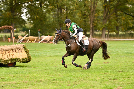 9-12.10.2025 Ströhen | Sofia Meier - SF Beverly030 