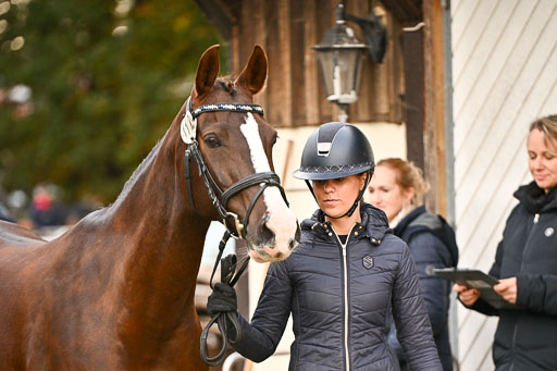 9-12.10.2025 Ströhen | Sofia Meier - SF Beverly034 