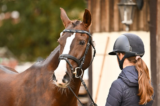 9-12.10.2025 Ströhen | Sofia Meier - SF Beverly036 