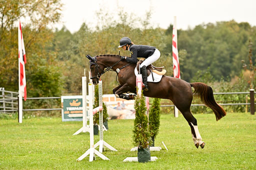 9-12.10.2025 Ströhen | Sofia Meier - SF Beverly040 