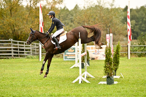 9-12.10.2025 Ströhen | Sofia Meier - SF Beverly042 