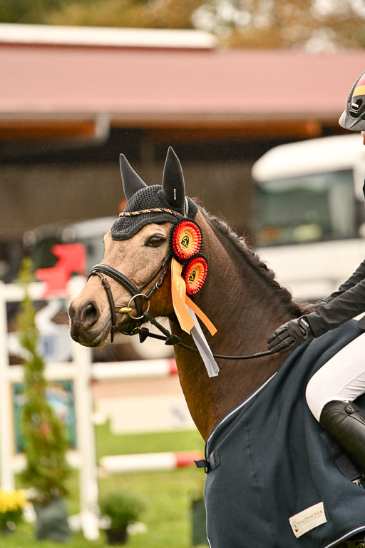 9-12.10.2025 Ströhen | 12102025 Siegerehrungen_132 