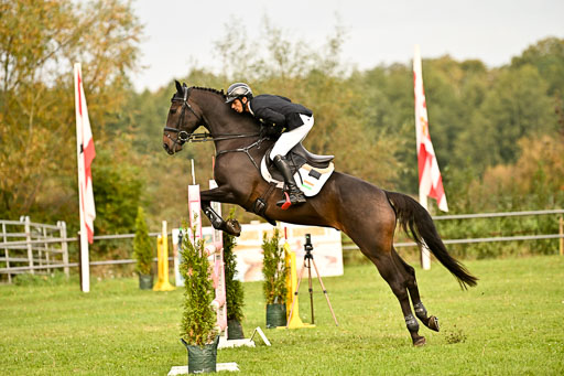  | 12102025 Springen Intro _123 