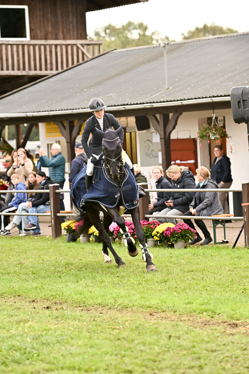  | 12102025 Springen Intro _183 