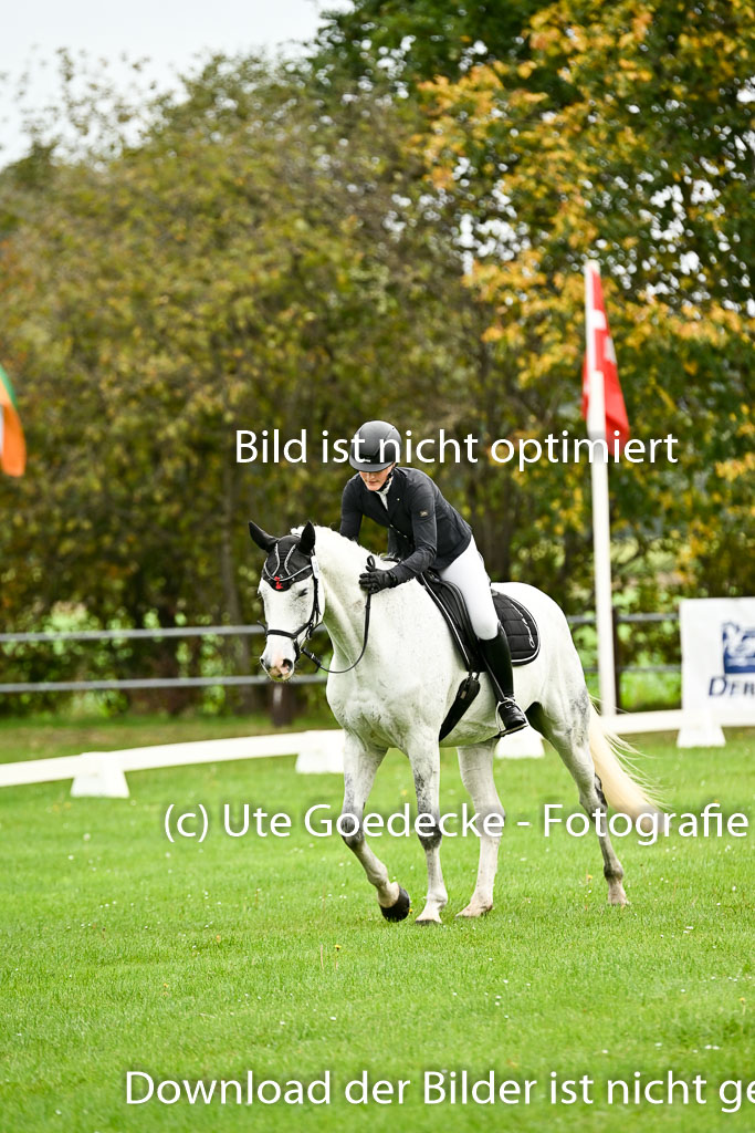9-12.10.2025 Ströhen | Helene Bürenheide - Calomini _14 