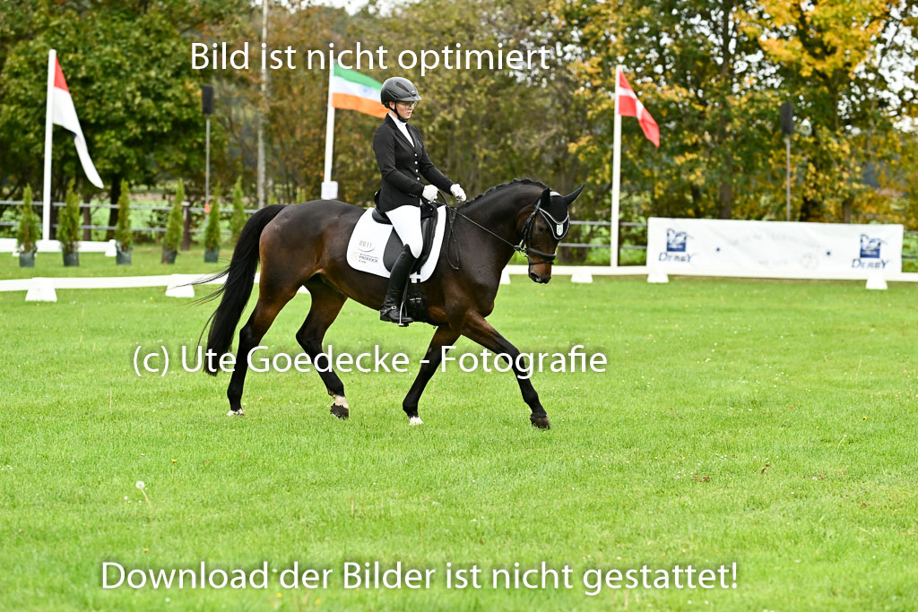 9-12.10.2025 Ströhen | Marie Baumgart - Cadencia _07 