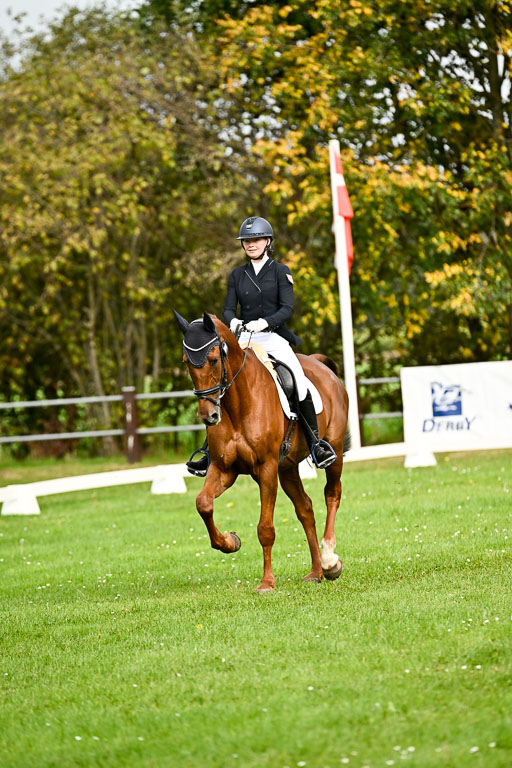 9-12.10.2025 Ströhen | Carlotta Walla - Clever Man _03 