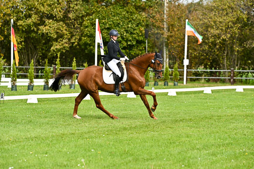 9-12.10.2025 Ströhen | Carlotta Walla - Clever Man _09 