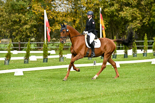 9-12.10.2025 Ströhen | Carlotta Walla - Clever Man _12 