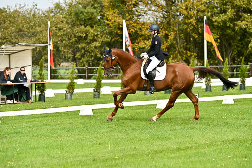 9-12.10.2025 Ströhen | Carlotta Walla - Clever Man _15 