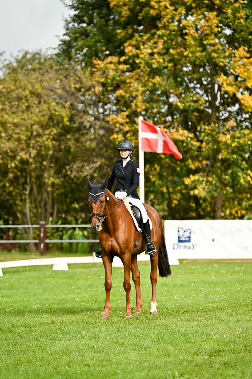 9-12.10.2025 Ströhen | Carlotta Walla - Clever Man _18 