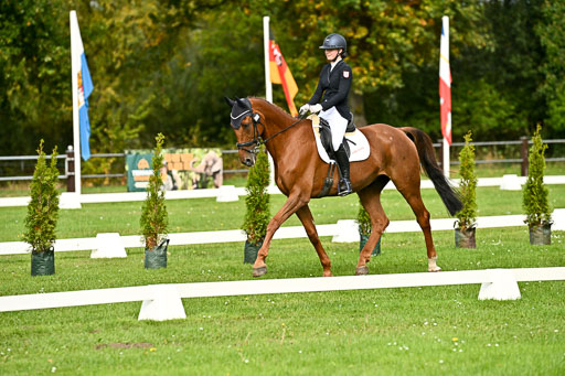 9-12.10.2025 Ströhen | Carlotta Walla - Clever Man 